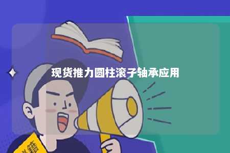现货推力圆柱滚子轴承应用 
